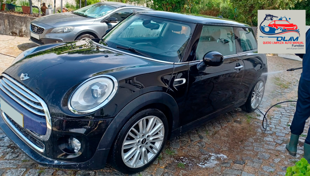 QLAM - Quero Limpeza Auto Manual - Fundão
