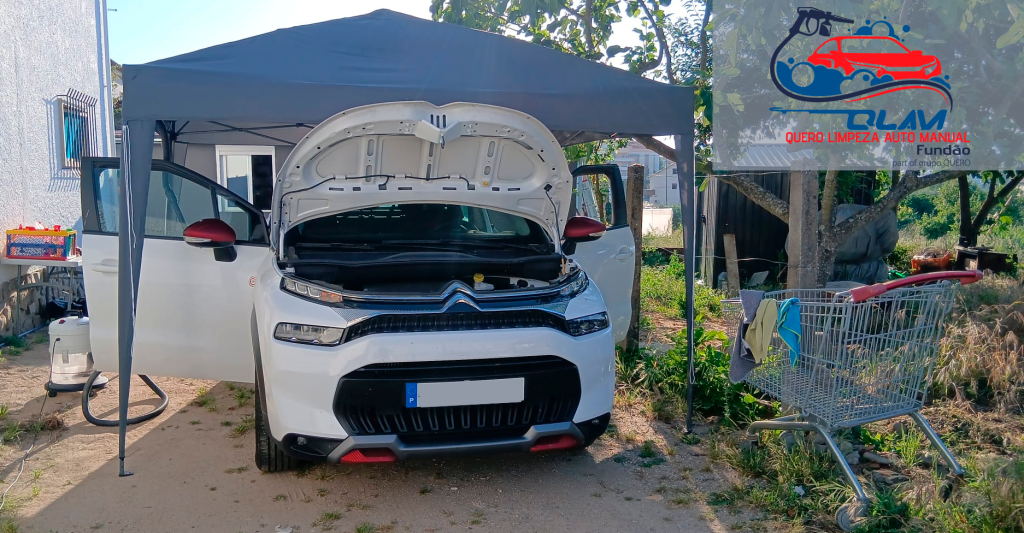 QLAM - Quero Limpeza Auto Manual - Fundão